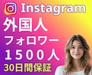 インスタ★外国人フォロワーを1500人増やします 30日保証⭐️丁寧にサポートします！ イメージ4