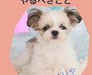 完全丸投げもOK！紙の書籍（POD出版）代行します 在庫を持たずに紙の書籍が出版できるPOD出版代行サービス イメージ2