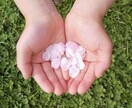 30分★チャットでお話しします 雑談、相談、愚痴なんでもOKです！！ イメージ6