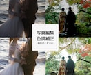 オープニングムービー | ボタニカル 制作します FLORAL BOTANICAL | DVD無料 イメージ7