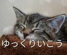 カサンドラなどでお悩みの方、お悩み相談お聞きします カサンドラ特有のお悩み相談ダイヤル/経験者の私にご相談下さい イメージ7