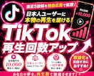 TikTok直近5投稿の日本人再生回数を増やします 直近5投稿~の再生回数を拡散します！独自の広告拡散！ イメージ10