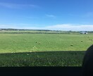 あなたの思いを受け止めます 2児の父です。ただ聞いて欲しい。味方でいて欲しいを叶えます。 イメージ1