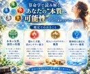 魂の算命学で天命を読み解き適職をお伝えします 転職、人間関係、お金の不安…算命学であなたの天職を完全鑑定！ イメージ2