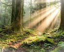 あなたを好きな人、恋の気配を占います 今密かに想ってくれてる人の存在、恋の芽は？まもなくの恋愛運。 イメージ7