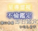 秘密の恋の行方と彼の本音を霊視鑑定でお伝えします 苦しい恋だからこそ、正直に向き合います。 イメージ1