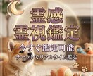 現在対応可能｜20分間｜霊感・霊視鑑定します 【即レス】リアルタイムで霊視鑑定 イメージ1