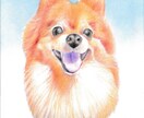 仏画、肖像画をお描きます 顔彩、鉛筆などを使って、細密に描きます。 イメージ2
