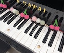 30分1000円♪子ども向けピアノレッスンします 初めてでも安心！お子さまの「弾きたい」を応援します♩ イメージ1