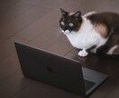 転職や副業に関する記事を執筆します 転職/副業ジャンルの実績経験がある現役ライターが記事執筆 イメージ1