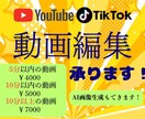 YouTube・TikTok動画編集致します 動画の質は勿論こと、気持ちの良いサービスを提供します！ イメージ1