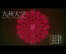 現役旧帝大生が受験英語と数学を教えます 地方国立や中堅私立を目指す人にオススメです！ イメージ1