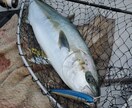 魚釣りのポイントや、おすすめのタックルおしえます 釣り歴39年の釣りバカです❗色々な釣りに精通してます❗ イメージ2
