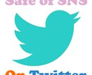 〔初心者歓迎〕Twitterの安全で確実なフォロワーの増やし方教えます〔Safe of SNS〕 イメージ1