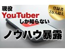 YouTubeチャンネルを伸ばすアドバイスをします YouTubeチャンネルが伸びる具体的なアドバイスをします イメージ1
