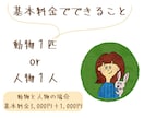 ペットやお好きな動物のゆるかわなイラスト描きます SNSアイコンにおすすめ！キャラクター風の似顔絵でほっこり イメージ10