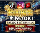 実績300本超！丸投げOK！ショート動画制作します ～YouTube shorts・Tiktok・リール対応～ イメージ1