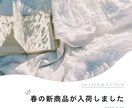 Instagramの運用代行をします 特別価格でお引き受け致します！！ イメージ5