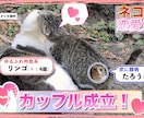 視聴者を1秒も飽きさせない映像を制作します SNSが伸びず悩んでいる方、ご相談ください イメージ8