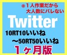 Twitter拡散！Twitter宣伝します ▶︎1ヶ月毎日10RT10いいね〜50RT50いいねします！ イメージ1