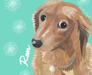 データでお渡し♡ペットの似顔絵をアートに描きます SNSのアイコン、グッズへの加工も自由♪ イメージ8