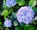 6月の運気を占います 近付いてくる6月に備えましょう♪♪♪ イメージ1