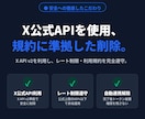 X（旧Twitter）の過去投稿を一括で削除します 大量ツイートも安全・確実に削除、API連携で全自動 イメージ6