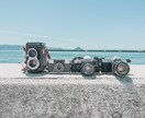 写真を提供いたします ブログやコラム記事などで写真素材が必要な方へ。 イメージ5