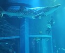 相談にのります 特に恋愛関係が得意でタロットにて軽く占えます(^-^) イメージ1