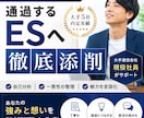 大手5社内定の現役社員が通過するESへ徹底添削ます 大手5社内定の実績！目指す姿から逆算し一貫性のあるESへ イメージ1