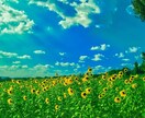 なんでも話してみて☆いつでも話し相手になります 悩み雑談恋愛相談なんでもお受けします♬友達感覚で話しましょう イメージ5