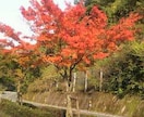 短編小説「人のいいお兄ちゃんが、、、」を出品します 人は見かけによらぬものといいますが イメージ1