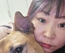 安価で高クオリティなものを提供致します 高コスパを安価で迅速に提供します。 イメージ5