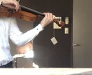 バイオリンのレッスンします プロのバイオリニストがあなたにアドバイスします。 イメージ1
