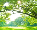 あなたの悩みが生まれる心の構造を見つめ直します 悩みを解決する前に、“苦しみの構造”を整えます イメージ1