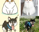 ペット（動物）を可愛いデフォルメイラストにします 即日対応！修正無制限！アイコンやプレゼントにどうぞ！ イメージ3