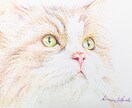 ペットの絵画制作します サイズ15㎝以下でペン画の実物を納品させていただきます。 イメージ2