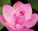 愚痴や相談や話し相手になります 誰かの心の休養になれたらと思います イメージ1