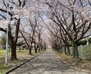 旦那さんの愚痴ききます 聞いてもらうことによりスッキリしましょう イメージ1