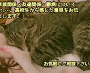高校生からの目線で答えます 何でも相談受け付けます。高校生ならではの答えを出します。 イメージ1