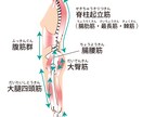 セラピストが絶対に知っておきたい解剖学を教えます 看護兼セラピストが教える〜免疫力を高める為に〜ツボおまけ付き イメージ4