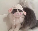 電話が苦手な方、チャットでお話聞きます どんな貴方も受け入れます♡今日あった出来事を聞かせてください イメージ7