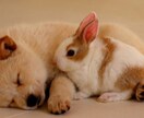1コイン★あなたのお話なんでもお聞きします 家族、彼氏、友達みたいに寄り添ってお話ししませんか? イメージ3
