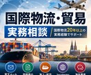 海外物流・貿易の実務相談に回答します 海外在住・国際物流20年以上の経験でサポート イメージ1