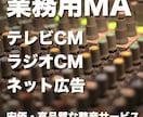 各種コマーシャルの放送準拠MAに対応します TV/ラジオ/podcast/youtubeなど対応の整音 イメージ1