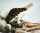 もっと自分らしくもっと自由に生きるサポートをします お話を聞いて、もっとあなたらしく輝くお手伝いをします。 イメージ5