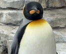 愚痴悩み何でも【30分】たくさん聞きます ブラック企業で肋骨４本骨折と円形脱毛症になった女が話聞きます イメージ1