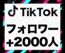 TikTokのフォロワーを+2,000人増加します 安心★安全｜30日保証付｜増加支援｜拡散｜振分可｜匿名評価可 イメージ1