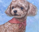 先着2名様限定！リアルなペットの似顔絵描きます オープニング記念の特別価格！本格的なペットの絵画を描きます イメージ4