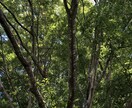 皆さんのお話し聞きます 日頃の愚痴や鬱憤を晴らすお手伝いをします イメージ2